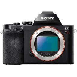 Mirrorless Cameras