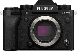 Mirrorless SLR style Cameras